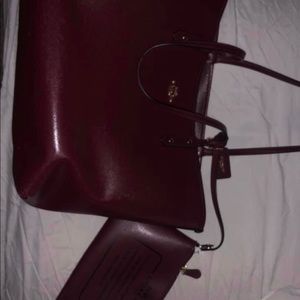 Coach handbag (VELVET color)